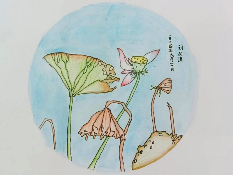 lewin乐玩官网-不凡成就非凡,相信品牌力量