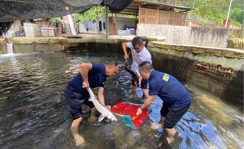 lewin乐玩官网-不凡成就非凡,相信品牌力量